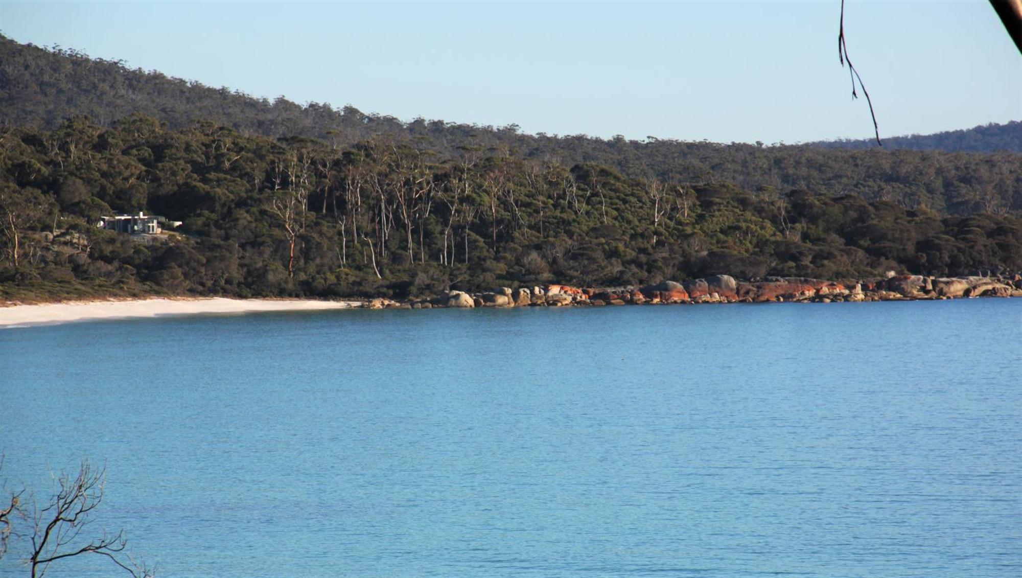 Kingfisher Cottage Beachfront At The Binalong Bay Exteriör bild