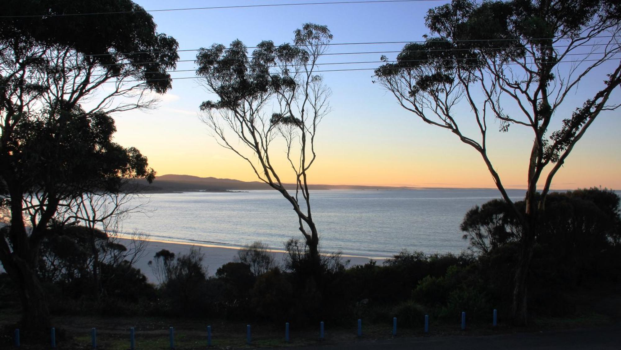 Kingfisher Cottage Beachfront At The Binalong Bay Exteriör bild